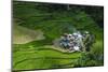 Bangaan in the Rice Terraces of Banaue, Northern Luzon, Philippines, Southeast Asia, Asia-Michael Runkel-Mounted Photographic Print