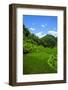Bangaan in the Rice Terraces of Banaue, Northern Luzon, Philippines, Southeast Asia, Asia-Michael Runkel-Framed Photographic Print