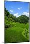 Bangaan in the Rice Terraces of Banaue, Northern Luzon, Philippines, Southeast Asia, Asia-Michael Runkel-Mounted Photographic Print