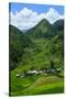 Bangaan in the Rice Terraces of Banaue, Northern Luzon, Philippines-Michael Runkel-Stretched Canvas