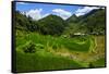 Bangaan in the Rice Terraces of Banaue, Northern Luzon, Philippines-Michael Runkel-Framed Stretched Canvas