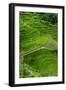 Bangaan in the Rice Terraces of Banaue, Northern Luzon, Philippines-Michael Runkel-Framed Photographic Print