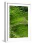 Bangaan in the Rice Terraces of Banaue, Northern Luzon, Philippines-Michael Runkel-Framed Photographic Print