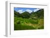 Bangaan in the Rice Terraces of Banaue, Northern Luzon, Philippines-Michael Runkel-Framed Photographic Print