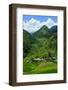 Bangaan in the Rice Terraces of Banaue, Northern Luzon, Philippines-Michael Runkel-Framed Photographic Print