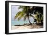 Bangaram Beach, Lakshadweep Islands, India, Indian Ocean, Asia-Balan Madhavan-Framed Photographic Print