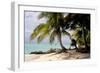 Bangaram Beach, Lakshadweep Islands, India, Indian Ocean, Asia-Balan Madhavan-Framed Photographic Print