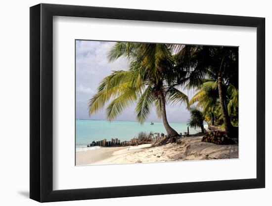 Bangaram Beach, Lakshadweep Islands, India, Indian Ocean, Asia-Balan Madhavan-Framed Photographic Print