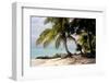 Bangaram Beach, Lakshadweep Islands, India, Indian Ocean, Asia-Balan Madhavan-Framed Photographic Print