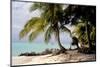 Bangaram Beach, Lakshadweep Islands, India, Indian Ocean, Asia-Balan Madhavan-Mounted Photographic Print