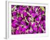 Bangkok Street Flower Market. Flowers Ready for Display at Many Places including Temples-Terry Eggers-Framed Photographic Print