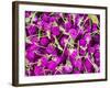 Bangkok Street Flower Market. Flowers Ready for Display at Many Places including Temples-Terry Eggers-Framed Photographic Print