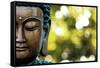 Bangkok, Thailand. Depiction of head and face of Buddha outdoor statue-Miva Stock-Framed Stretched Canvas