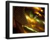 Bangkok, Thailand; the Reclining Buddha in Wat Pho-Dan Bannister-Framed Photographic Print