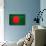 Bangladesh Flag Design with Wood Patterning - Flags of the World Series-Philippe Hugonnard-Art Print displayed on a wall