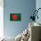 Bangladesh Flag Design with Wood Patterning - Flags of the World Series-Philippe Hugonnard-Mounted Art Print displayed on a wall