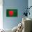 Bangladesh Flag Design with Wood Patterning - Flags of the World Series-Philippe Hugonnard-Stretched Canvas displayed on a wall