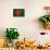 Bangladesh Flag Design with Wood Patterning - Flags of the World Series-Philippe Hugonnard-Stretched Canvas displayed on a wall