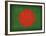 Bangledesh-David Bowman-Framed Giclee Print