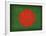 Bangledesh-David Bowman-Framed Giclee Print