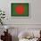 Bangledesh-David Bowman-Framed Giclee Print displayed on a wall