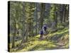 Bangtail Ridge Trail near Bozeman, Montana, USA-Chuck Haney-Stretched Canvas