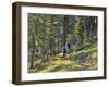 Bangtail Ridge Trail near Bozeman, Montana, USA-Chuck Haney-Framed Photographic Print