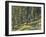 Bangtail Ridge Trail near Bozeman, Montana, USA-Chuck Haney-Framed Photographic Print