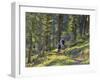 Bangtail Ridge Trail near Bozeman, Montana, USA-Chuck Haney-Framed Photographic Print