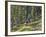 Bangtail Ridge Trail near Bozeman, Montana, USA-Chuck Haney-Framed Photographic Print