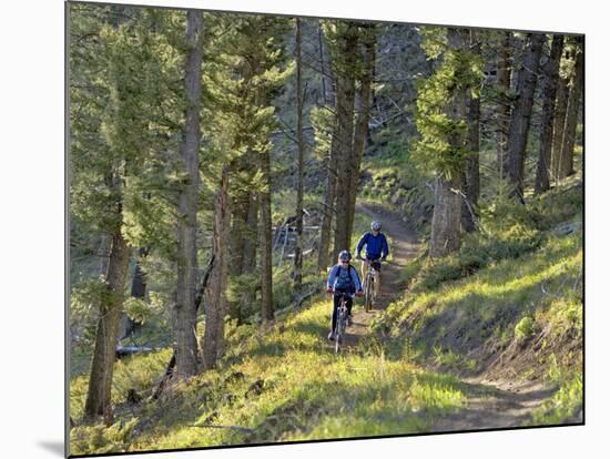 Bangtail Ridge Trail near Bozeman, Montana, USA-Chuck Haney-Mounted Photographic Print