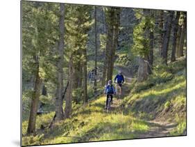 Bangtail Ridge Trail near Bozeman, Montana, USA-Chuck Haney-Mounted Photographic Print