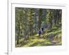 Bangtail Ridge Trail near Bozeman, Montana, USA-Chuck Haney-Framed Photographic Print