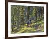 Bangtail Ridge Trail near Bozeman, Montana, USA-Chuck Haney-Framed Photographic Print