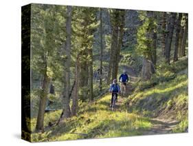 Bangtail Ridge Trail near Bozeman, Montana, USA-Chuck Haney-Stretched Canvas