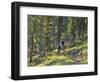 Bangtail Ridge Trail near Bozeman, Montana, USA-Chuck Haney-Framed Photographic Print