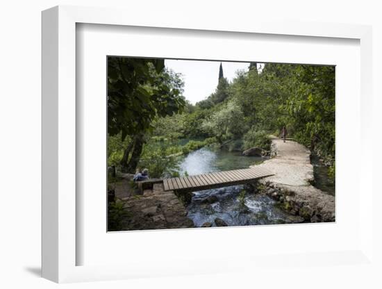 Banias Nature Reserve, Golan Heights, Israel, Middle East-Yadid Levy-Framed Photographic Print