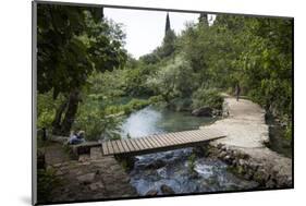 Banias Nature Reserve, Golan Heights, Israel, Middle East-Yadid Levy-Mounted Photographic Print