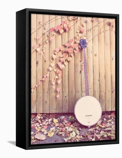 Banjo Against Fence-Jillian Melnyk-Framed Stretched Canvas