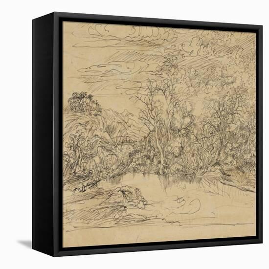 Bank of a Pond-Rodolphe Bresdin-Framed Stretched Canvas