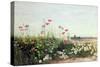 Bank of Summer Flowers-Andrew Nicholl-Stretched Canvas