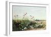 Bank of Summer Flowers-Andrew Nicholl-Framed Giclee Print