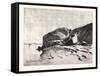 Bank of the Nile at Kom Omboo, Egypt, 1879-null-Framed Stretched Canvas