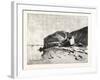 Bank of the Nile at Kom Omboo, Egypt, 1879-null-Framed Giclee Print