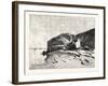 Bank of the Nile at Kom Omboo, Egypt, 1879-null-Framed Giclee Print