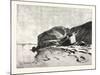 Bank of the Nile at Kom Omboo, Egypt, 1879-null-Mounted Giclee Print