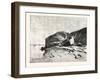 Bank of the Nile at Kom Omboo, Egypt, 1879-null-Framed Giclee Print