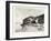 Bank of the Nile at Kom Omboo, Egypt, 1879-null-Framed Giclee Print