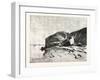 Bank of the Nile at Kom Omboo, Egypt, 1879-null-Framed Giclee Print