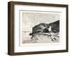 Bank of the Nile at Kom Omboo, Egypt, 1879-null-Framed Giclee Print